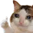 :catThumb: catThumb