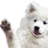 :doggoWave: doggoWave
