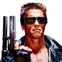 90Schwarzenegger