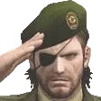 BigBossSalute