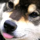 Blep