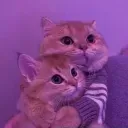 Cathug cathug Discord Emoji