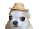 ralfjoto Discord emoji