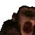 hypermonke