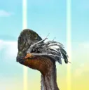 Rinchenia