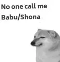 AFF_doge_sed AFF_doge_sed