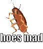 w_hoesmad1