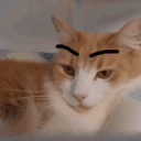 skyecat Discord Emoji