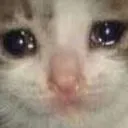2_cat_choro