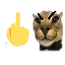 flopyou flopyou