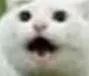 a_ a_