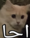 i_OPW_A7a Discord emoji