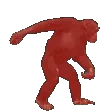 nb_monkedance