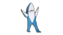 shark shark
