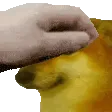 petthedog