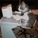 GatoComputin
