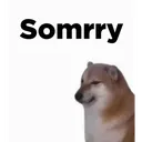 uri_sorry
