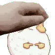 HE_GansoPat