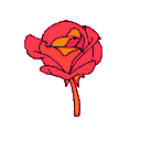 q_orange_florlaranja_CDP Discord emoji