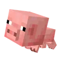 Baby_Pig