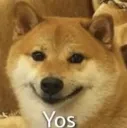 BLK_DogeYesOwO Discord Emoji