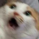 2shock