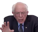 bernie