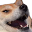 shiiriKek