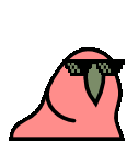 party_parrot