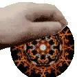 petmuri