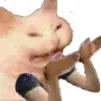 RGCatHands