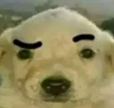 nani Discord Emoji