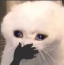 ohnooo Discord emoji