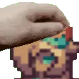 pet