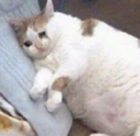 i_OPW_emoji_222 Discord emoji