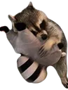 TPcuddle