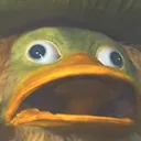ludi_surprised