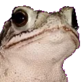 moodtoad moodtoad