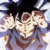 GokuFight