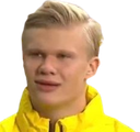 Haaland Discord emoji