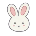 bunny
