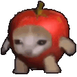 Applecatspin Discord emoji
