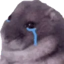 miks_rat_sadge miks_rat_sadge