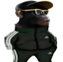 C_ADogeTripoloskiSwag