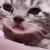 catCRY