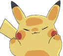own_pikachu