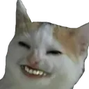 Catgrin catGrin Discord Emoji