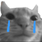 Gatiwi_sad Discord emoji