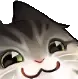 SmugCat