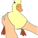 DuckHold DuckHold